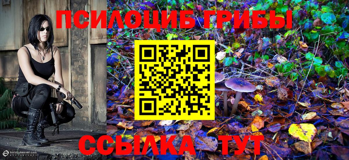 Псилоцибиновые грибы мухоморы Иваново