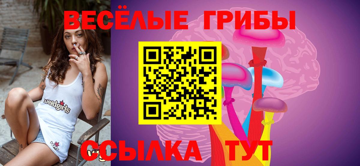 Иваново  Псилоцибиновые грибы Psilocybe  Псилоцибиновые грибы GOLDEN TEACHER  Вход с VPN 